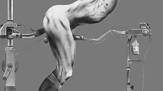 2611 cock porn videos